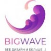 Bigwave