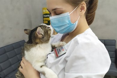 100 заявок на услуги ветеринарной клиники каждый месяц в течение года