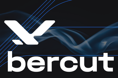 Bercut: интерактивный брендинг для крупного поставщика IT/телеком-решений