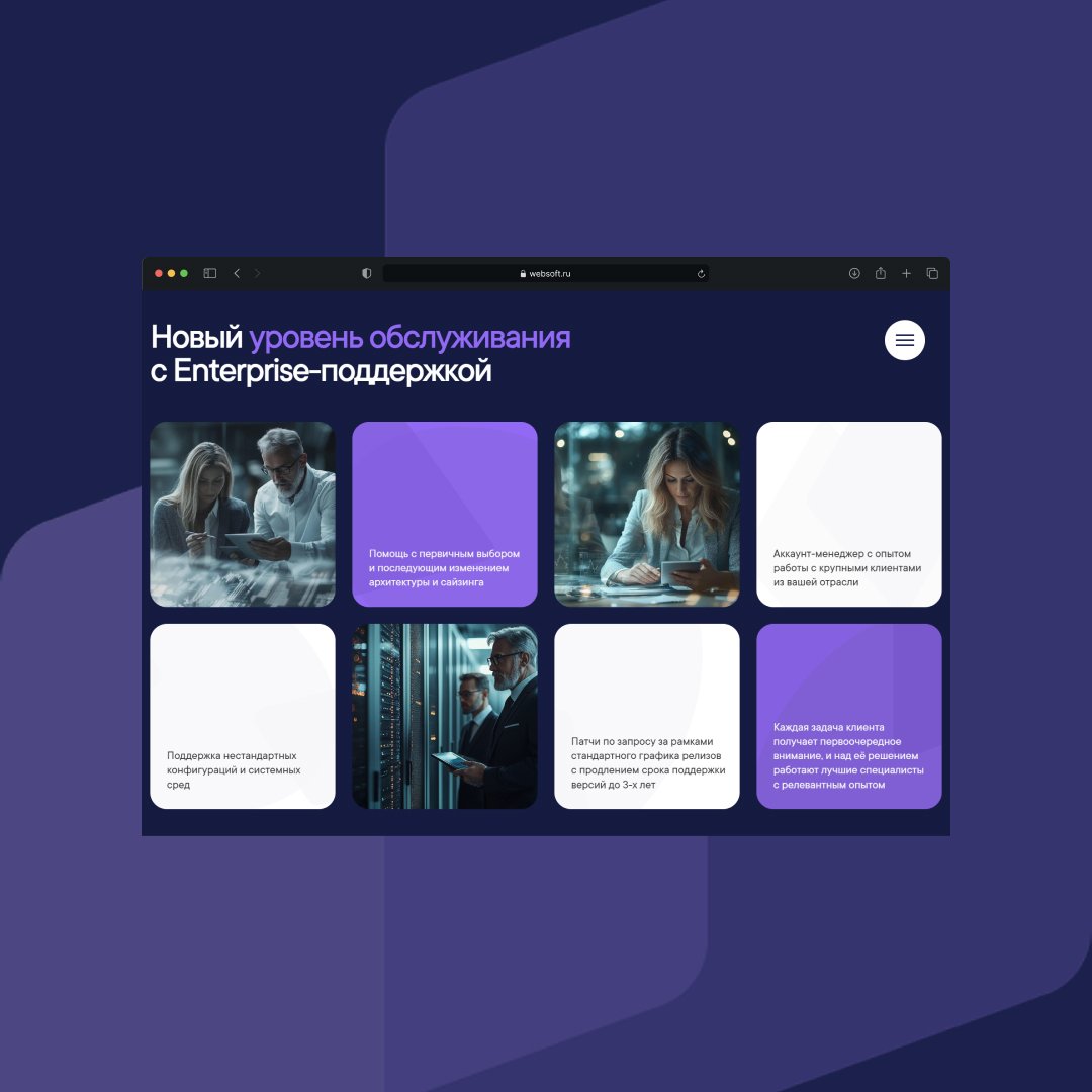 Страница Enterprise на сайте Websoft
