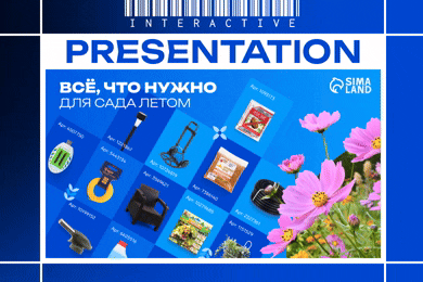 Интерактивная презентация категории 