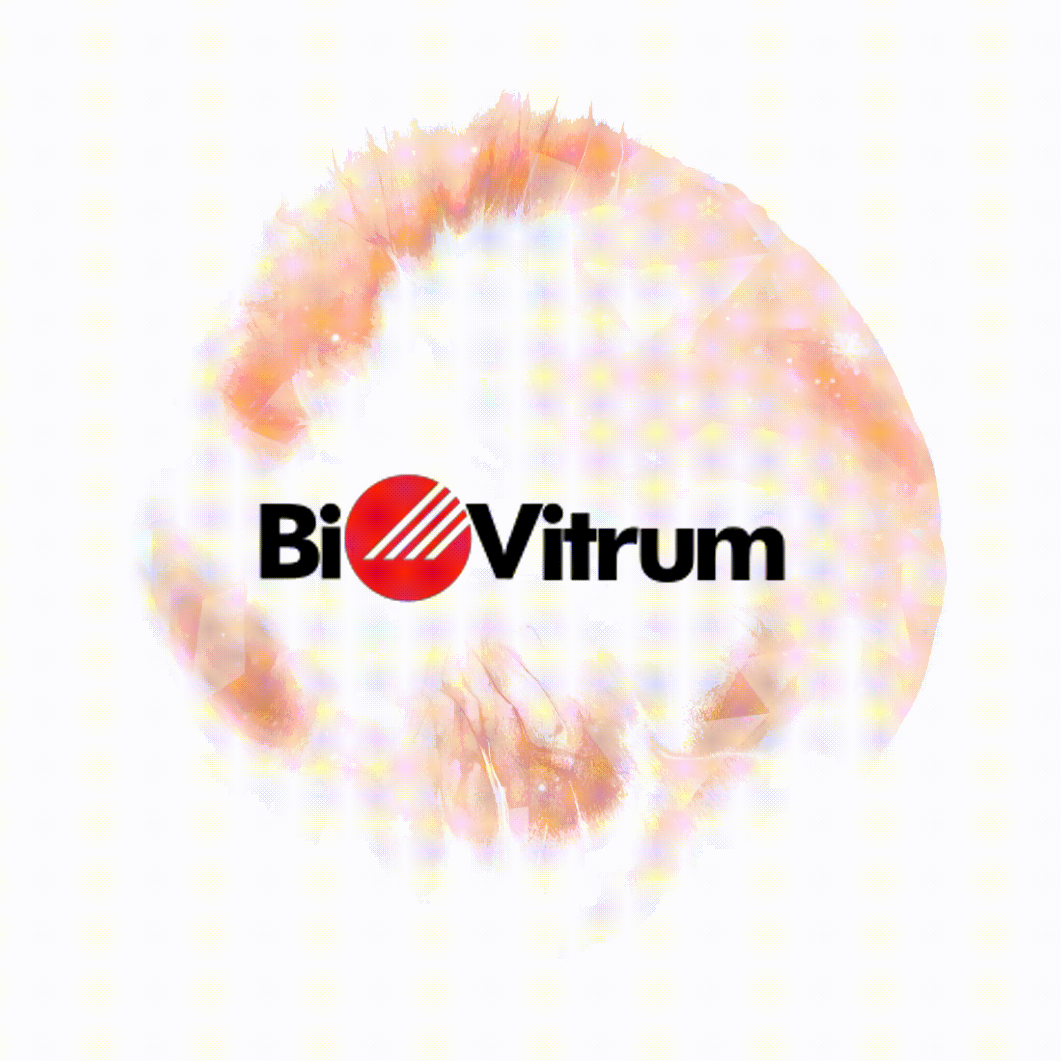 Разработка сайта-каталога для дистрибьютора и производителя медицинского оборудования "БиоВитрум"