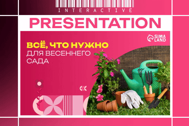 Интерактивная презентация категории 