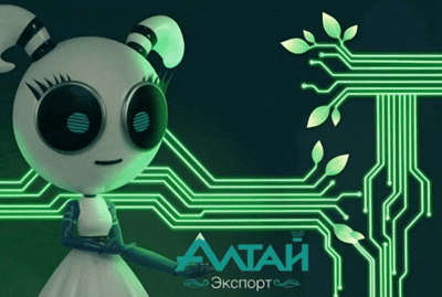 b2b-разработка + комплексный digital = 16856 лидов и 110% роста за 5 лет