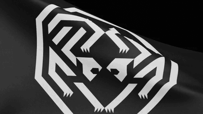 Фирменный стиль «ВФСМ»