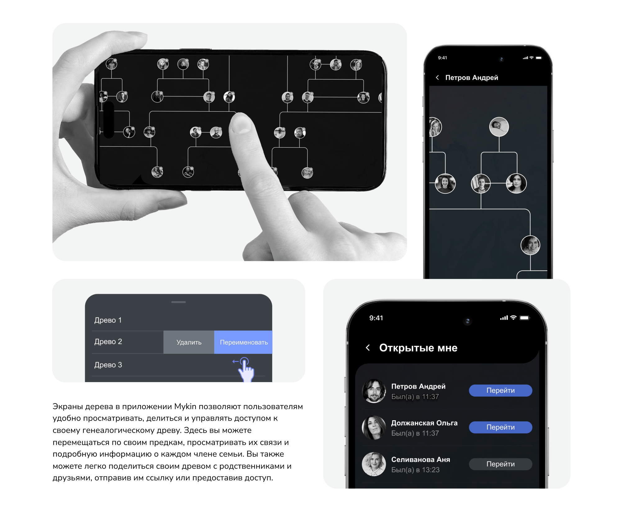 Мобильное приложение генеалогического древа – кейс
