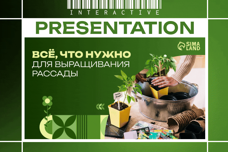 Интерактивная презентация категории 