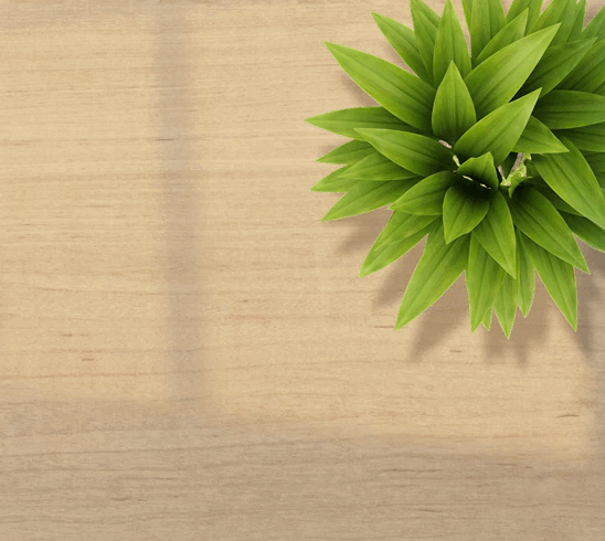 х2,4 к конверсии благодаря пересмотру digital-стратегии продвижения Numizmat.ru