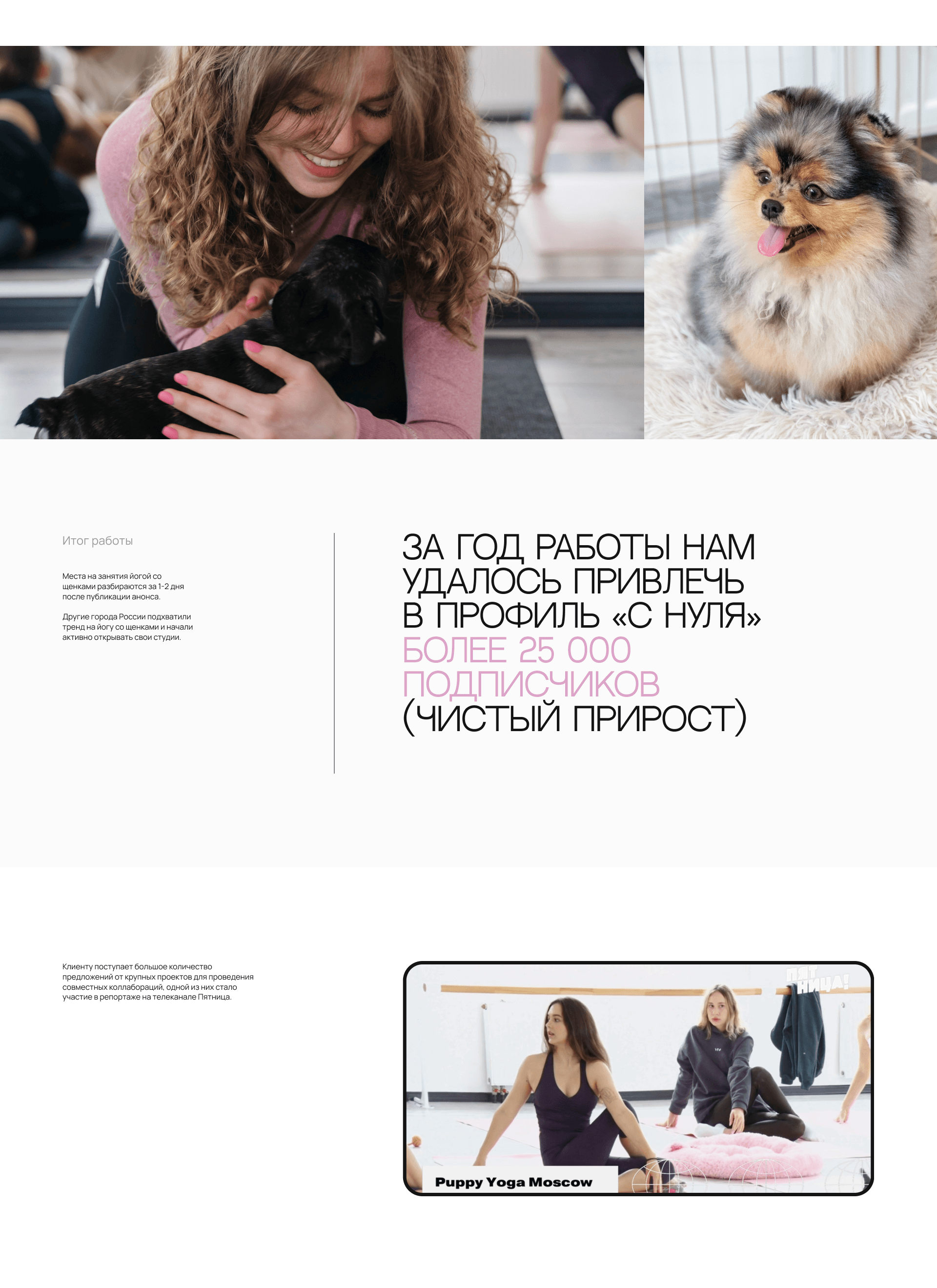 Puppy Yoga, SMM-продвижение студии йоги со щенками – кейс