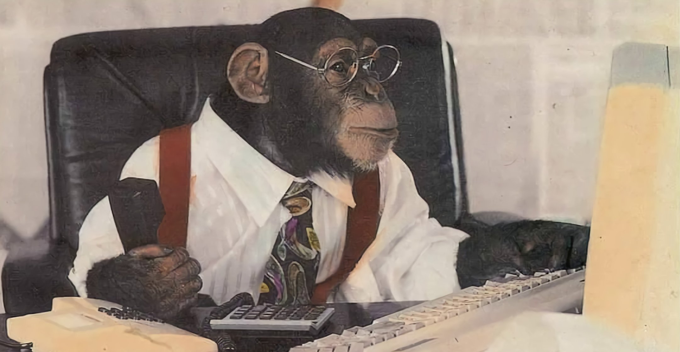 Менеджер и обезьяны. Обезьяна в очках. Обезьяна в офисе. Деловая обещьян. Обезьяна в деловом костюме.