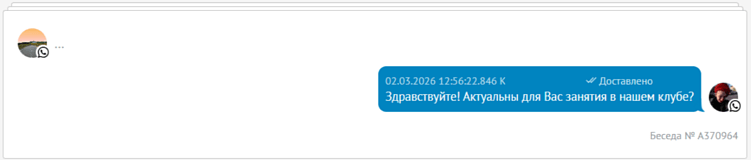 WhatsApp серый