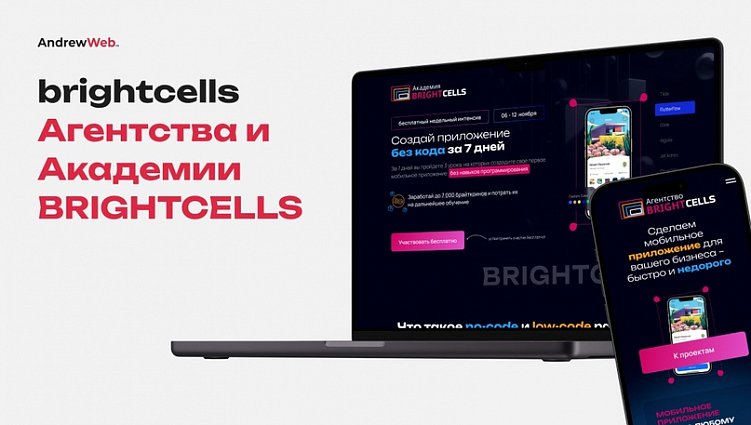 Кейсы успешных проектов