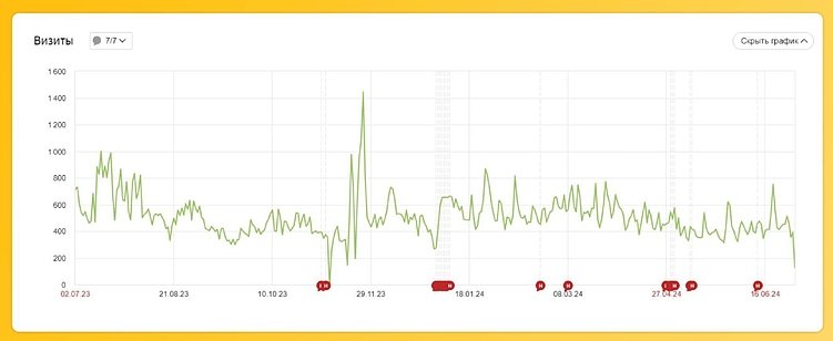 Посетители сайта в течении года. Взято из Яндекс Метрики