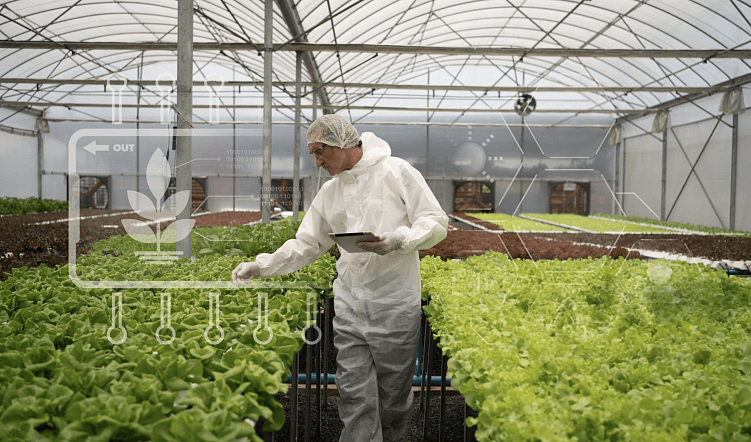 Сезон инноваций. Что ждет агросектор в цифровом будущем