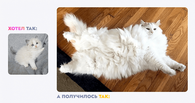 За что разработчики не любят дизайнеров