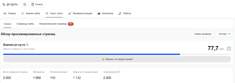 Аудит сайта показывает неканонические страницы и те, которые закрыты от индексации