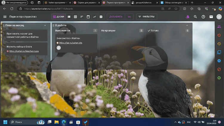 Тестирую 10 систем управления проектами для агентств, веб-студий и не только