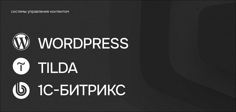 Как выбрать платформу для создания сайта: от конструктора до кастомной разработки