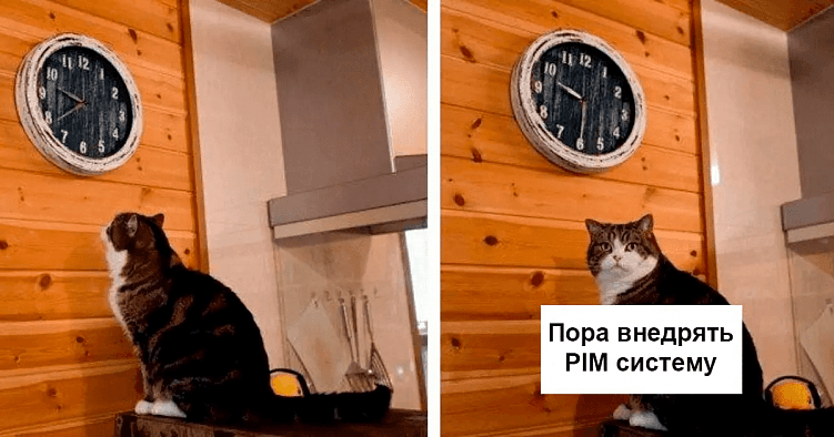 PIM-система для управления контентом: когда нужна ecommerce бизнесу и почему мы советуем Pimcore