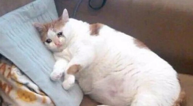 Как с помощью брендинга превратить ваше заведение в культовое место: 3 принципа от е—б эдженси