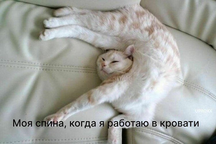 Как редакторы «Сделаем» справляются с многозадачностью