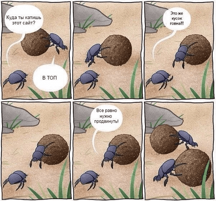 Профессия SEO-специалист. Кто это и чем занимается