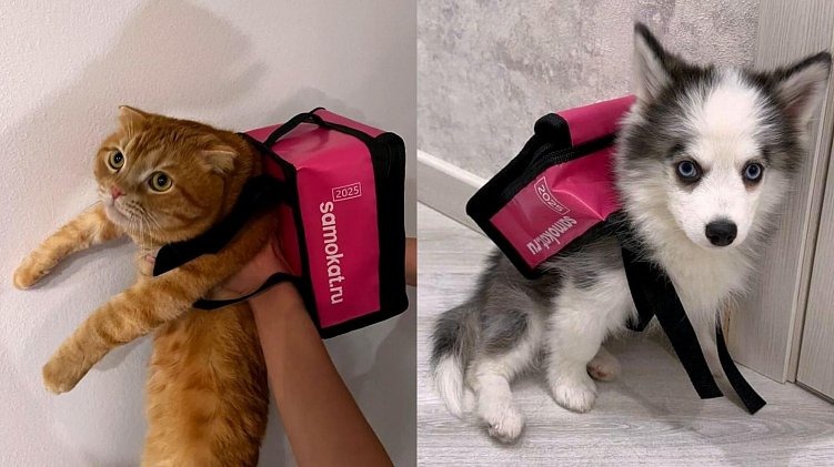 Продвижение в 2025 году: никаких "трендов", только актуальные стратегии