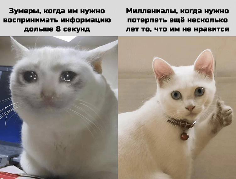 Работа с поколением Z и Альфа: как адаптировать корпоративную культуру