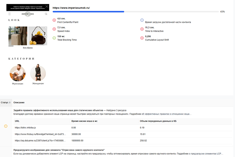 На этом скриншоте — часть отчета для мобильной версии того же продавца сумок