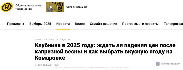 Продвижение сайтов СМИ и новостей