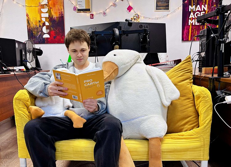 Книга про разработку сайтов в 2024 году: инсайты и опыт автора