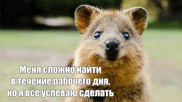 Зумеры наступают! Как изменилось рабочее пространство вместе с поколением Z?