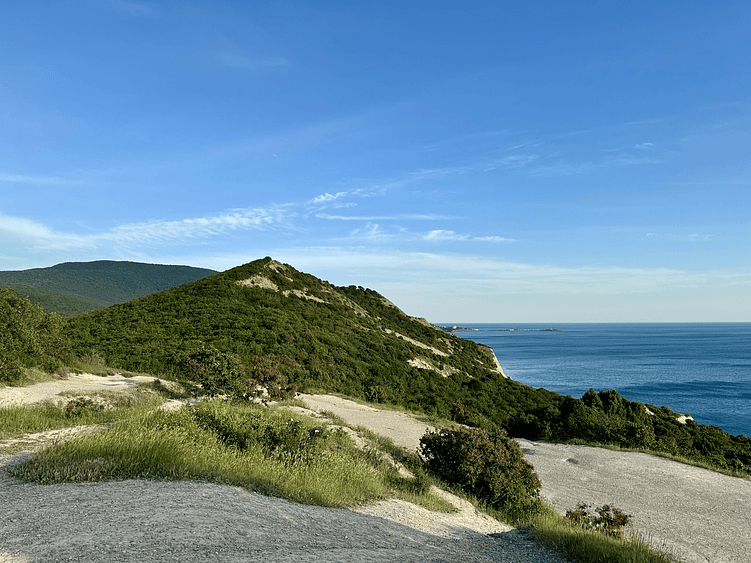 Столько красок, это просто потрясающе!