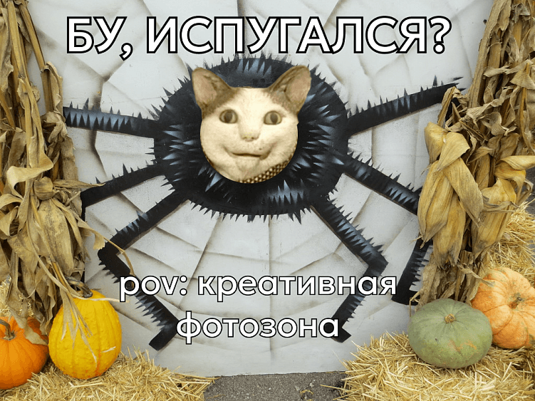 Как организовать запоминающийся ивент