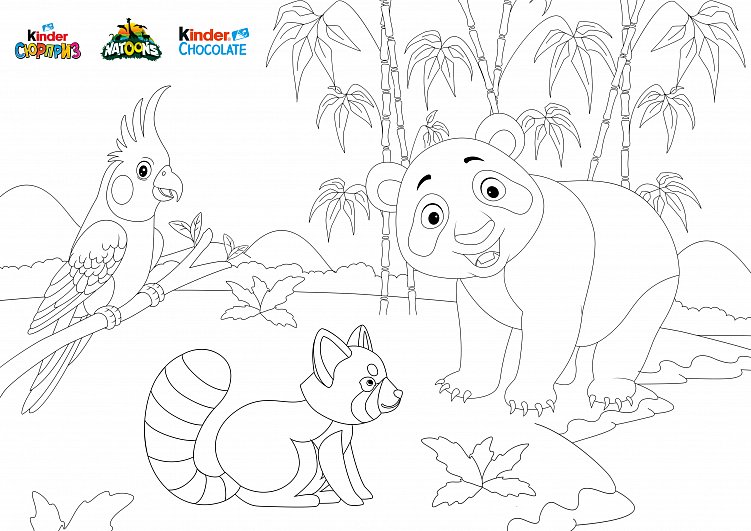 Пример раскраски