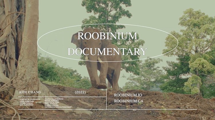 Киберпанк, биохакинг и дизайн в эпоху Web3