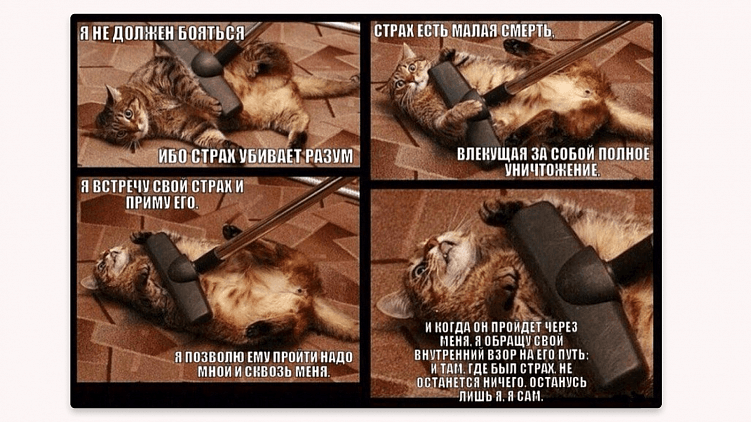 Как создать личный бренд с нуля: мой опыт