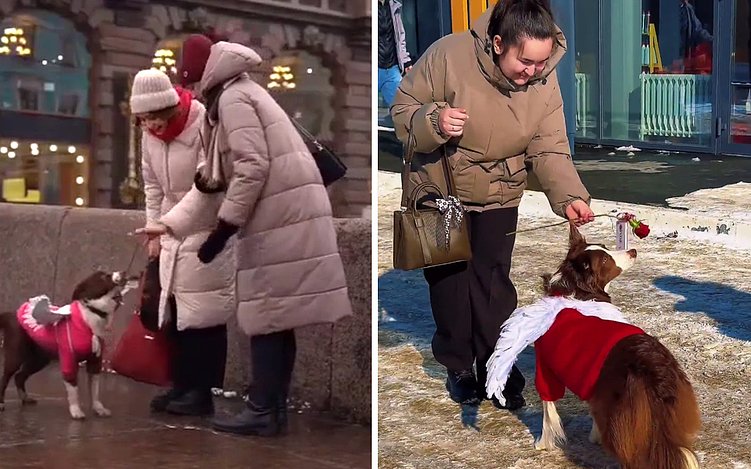 Как угробить вирусный контент