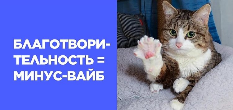 Чужие ошибки как источник опыта — юрразбор закона о рекламе