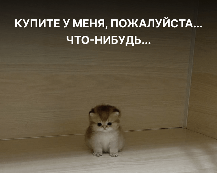 Описание объявления на Авито: как написать продающий текст для товаров и услуг?
