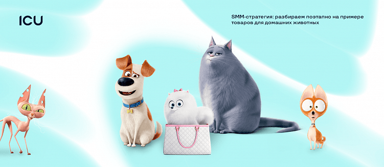 SMM-стратегия: разбираем поэтапно на примере товаров для домашних животных