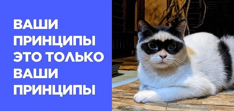 Как нарушают закон о рекламе: учимся на ошибках бизнеса