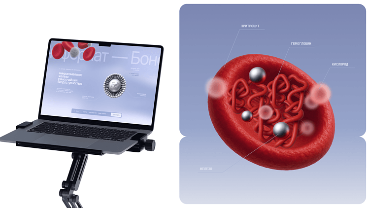 Как сделать продающий сайт для продуктов здоровья: 4 принципа от «е—б эдженси»