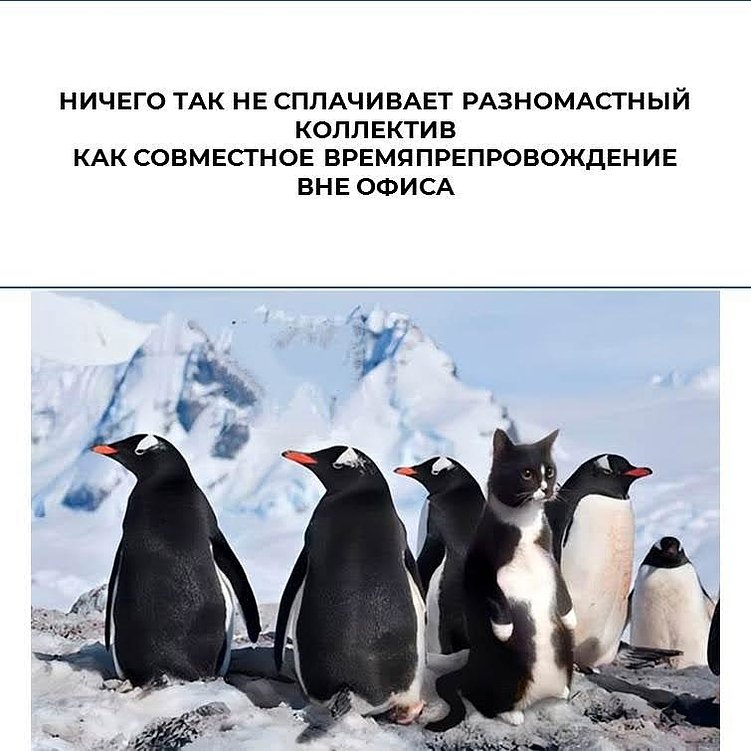 Что нам стоит TEAM построить: 4 варианта проведения тимбилдинга для коллектива