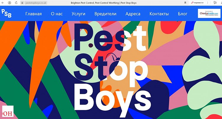 Сайт peststopboys.co.uk