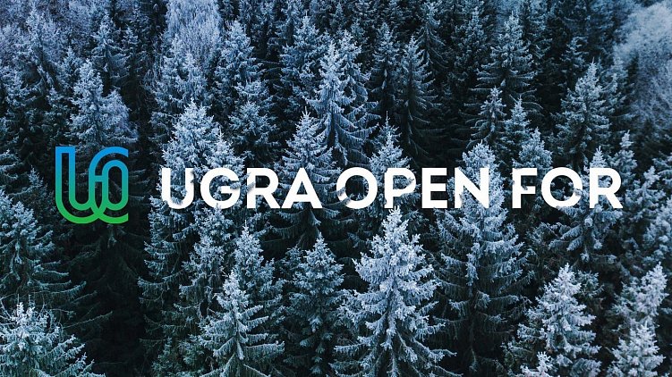 Концепт бренда Югры, artlebedev.ru