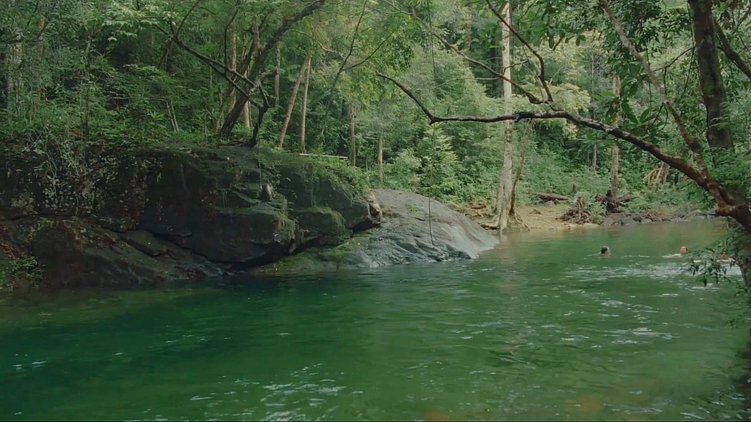 Киберпанк, биохакинг и дизайн в эпоху Web3