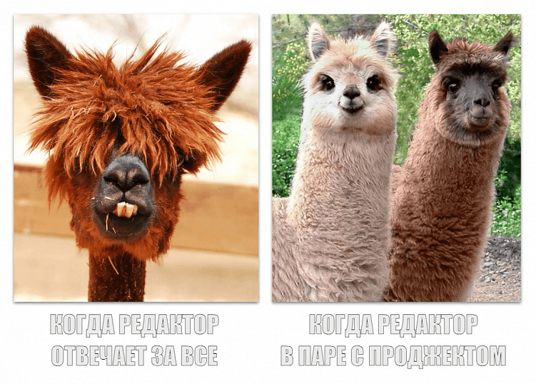 Как мы спасли от выгорания редакторов агентства
