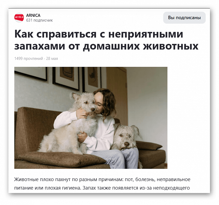 Как продвигать бытовую технику через контент-маркетинг