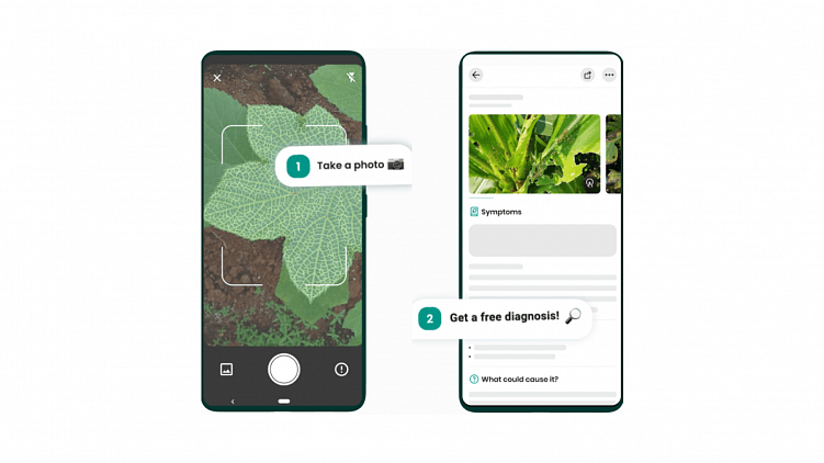 Plantix — приложение для выявления заболеваний растений с помощью нейросети.
